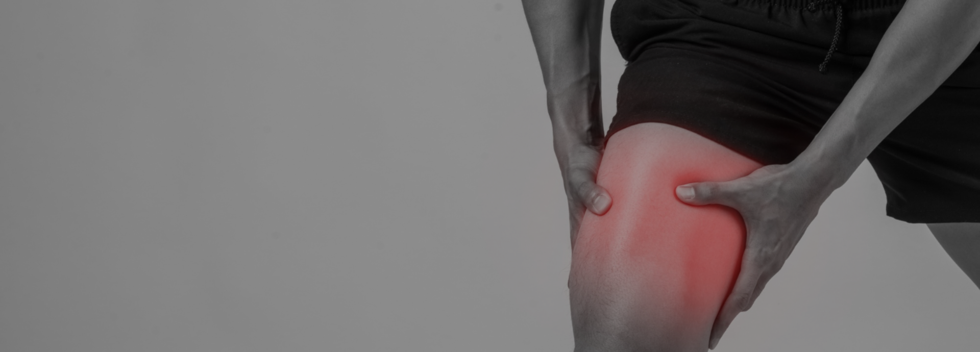 Experience Sports, Get Support in ORGANISM